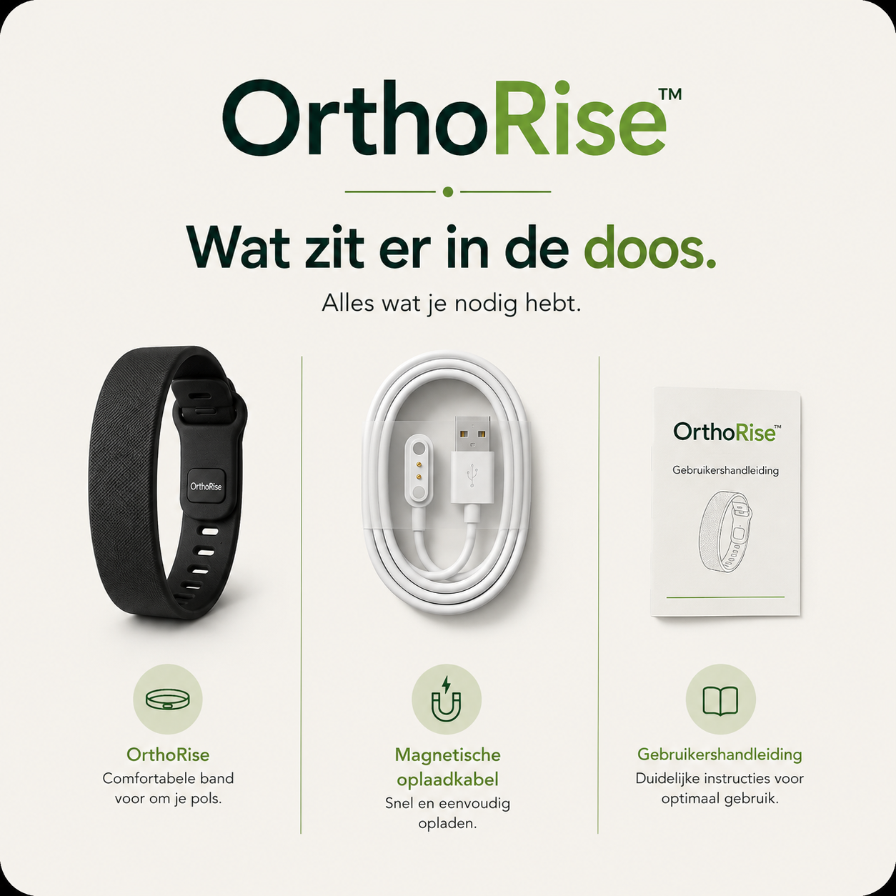 OrthoRise™
